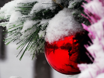 Similar image 14509330