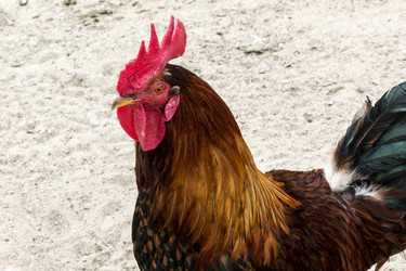 Similar image 14508820