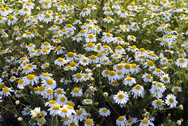 Similar image 14513298