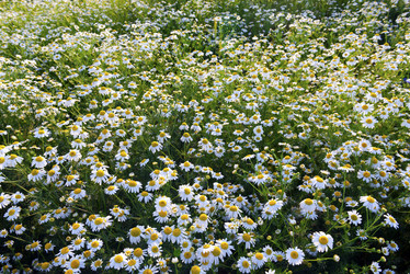 Similar image 14513299