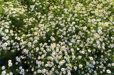 Similar image 14513300