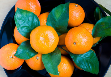 Similar image 14508869