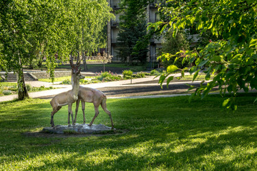 Similar image 14509617