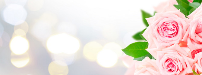 Similar image 14874067