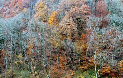 Similar image 14513339