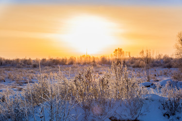 Similar image 14509626