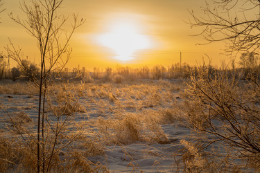 Similar image 14509627