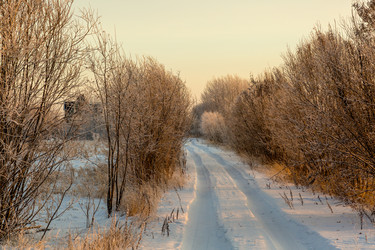 Similar image 14509628