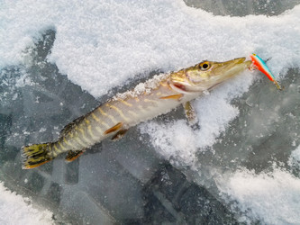 Similar image 14509595