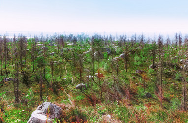 Similar image 14509261