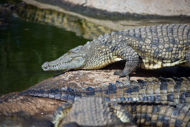 Similar image 14987767