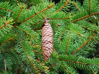 Similar image 14511178