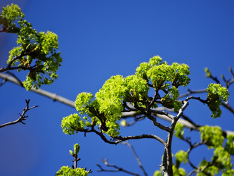 Similar image 14512898