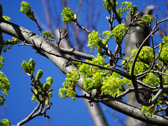 Similar image 14512899