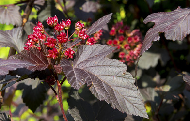 Similar image 14513309