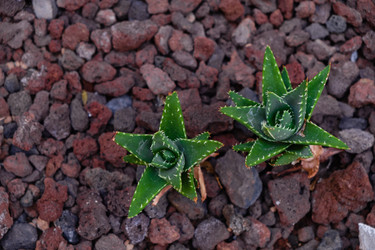 Similar image 14869757