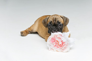 Similar image 14869773