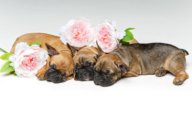 Similar image 14867583