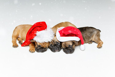 Similar image 14867389