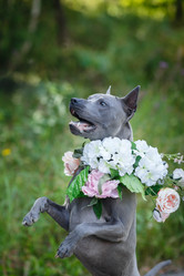 Similar image 14867356