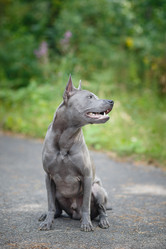 Similar image 14870030