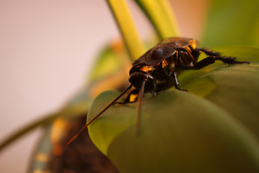 Similar image 14509255