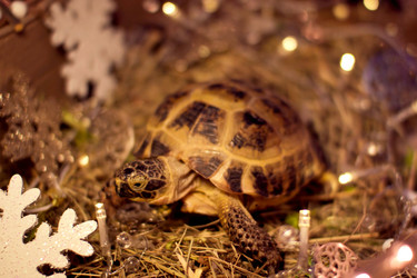 Similar image 14509313