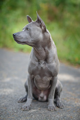 Similar image 14869797