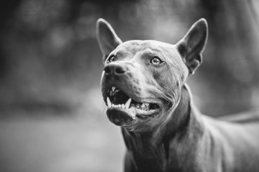 Similar image 14867471