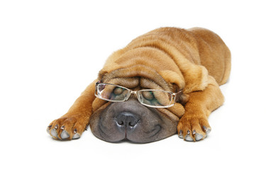 Similar image 14869803