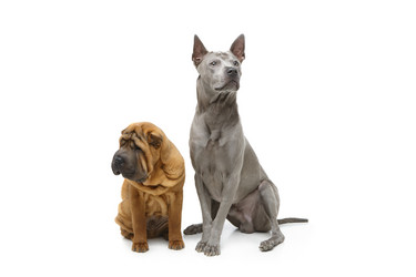 Similar image 14869787