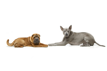 Similar image 14869791