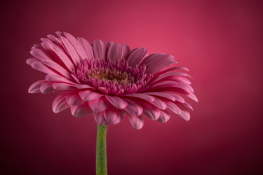 Similar image 14514661