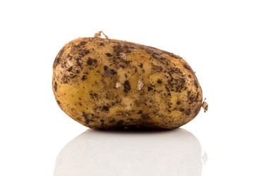 Similar image 14514853