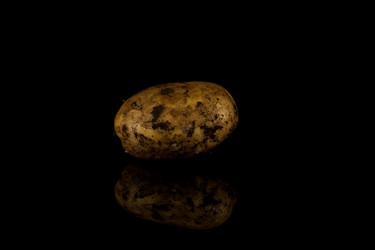 Similar image 14514862