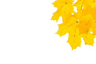 Similar image 14514818