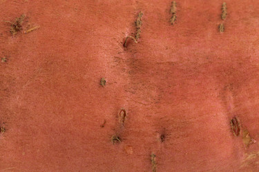 Similar image 14514819