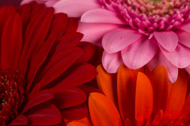 Similar image 14514821