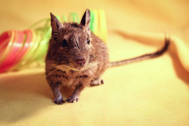 Similar image 14509717