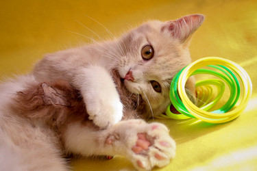 Similar image 14509718