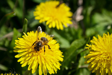 Similar image 14509726