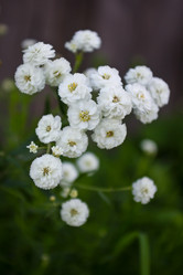 Similar image 14509729