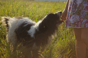 Similar image 14509730