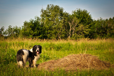 Similar image 14509731