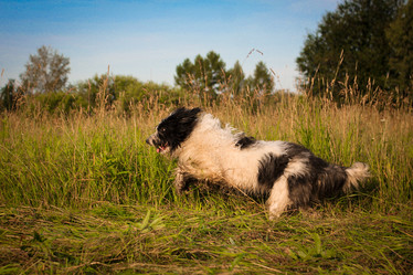 Similar image 14511201