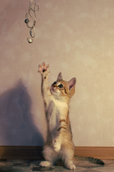 Similar image 14511204