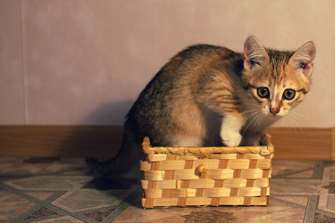 Similar image 14511205