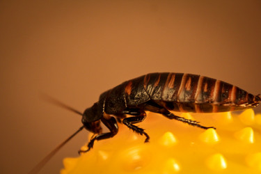 Similar image 14509714