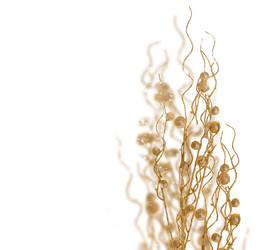 Similar image 14874105