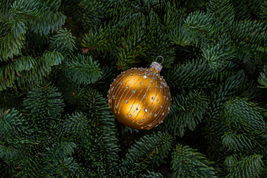 Similar image 14980145